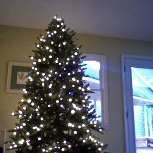 Meet your Posher, Adele